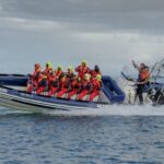 Reykjavik: Premium Whale Watching with Flexible Ticket - What You Should Know Before Booking