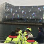 Reykjavík: RIB Speed-Boat Puffin Watching Tour - An Honest Look at the Puffin Speedboat Tour