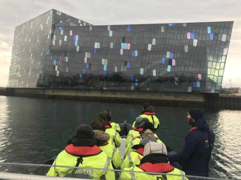 Reykjavík: RIB Speed-Boat Puffin Watching Tour - An Honest Look at the Puffin Speedboat Tour