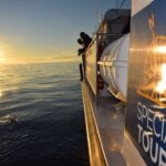 Reykjavik: Sea Fishing Boat Tour & BBQ with the Day's Catch - The Practical Details: What You Should Know