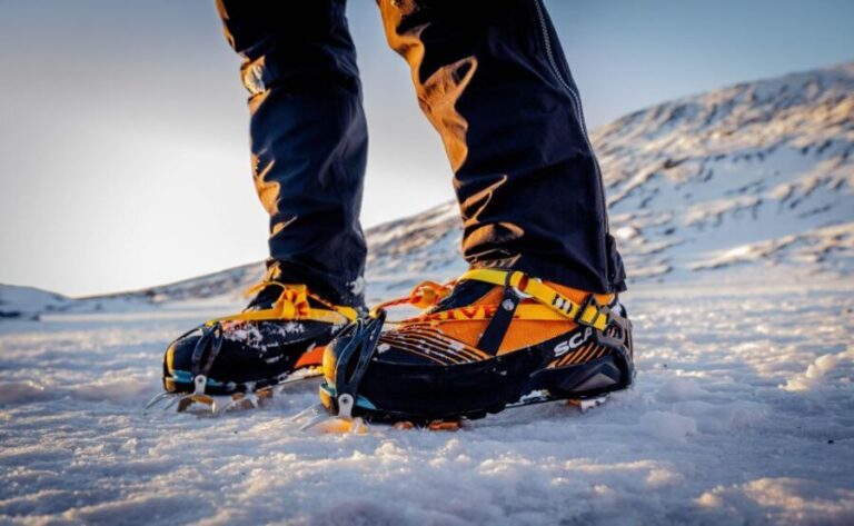 Reykjavik: South Coast Activity Tours - The Experience in Practice