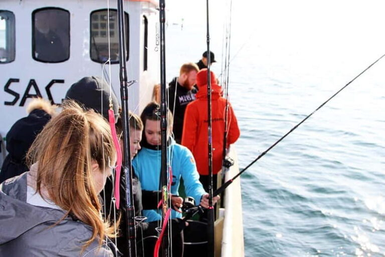 Reykjavik: Traditional Sea Fishing with BBQ Feast - Practical Details