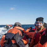 Reykjavik: Whale and Puffin Watching RIB Boat Tour - Who Should Consider This Tour?