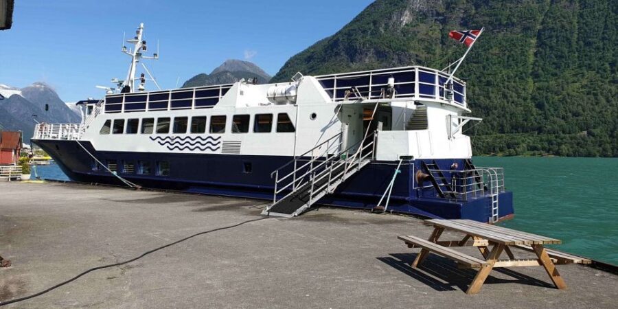 Reykjavik: Whale & Marine Adventure Tour - The Voyage Out to Faxaflói Bay