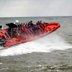 Reykjavik: Whale Watching by RIB Speedboat - What’s Included and What to Expect