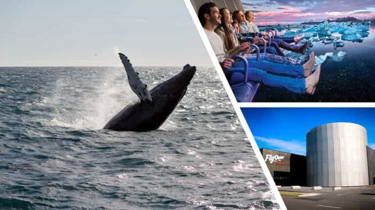 Reykjavík: Whale Watching Cruise and FlyOver Combo Ticket - Who Should Consider This Tour?