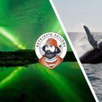 Reykjavik: Whale Watching & Northern Lights Combo Cruise - What’s the Overall Experience Like?