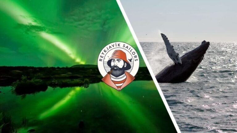 Reykjavik: Whale Watching & Northern Lights Combo Cruise - What’s the Overall Experience Like?