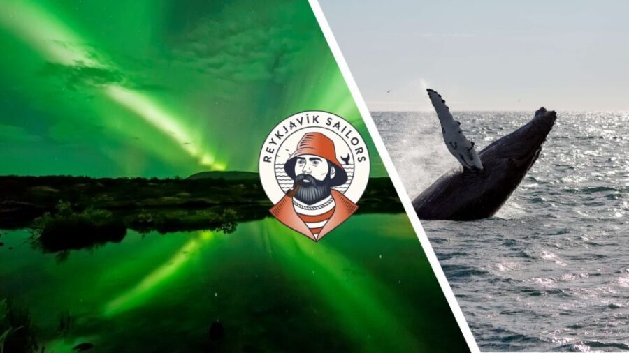 Reykjavik: Whale Watching & Northern Lights Combo Cruise - What’s the Overall Experience Like?