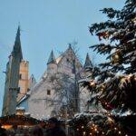 Rhein Castles & Tasting wine along the Rhein - From Frankfurt - Insights from Visitor Reviews