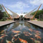 Rhenen: Ouwehands Zoo Entry Ticket - What Sets Ouwehands Zoo Apart?