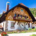 Rhine Falls and Black Forest Private Day Trip - What Makes This Tour Stand Out?