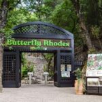 Rhodes: Butterfly Valley and Seven Springs Small Group Trip - The Practicalities: Transportation, Timing, and What to Bring