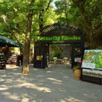 Rhodes: Butterfly Valley Half-Day Bus Trip - Who Should Consider This Tour?