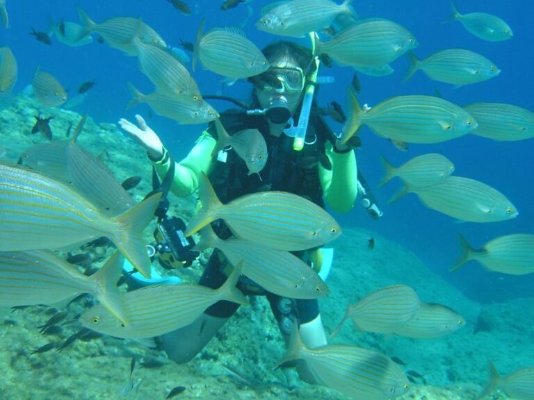 Rhodes: Diving Adventure for Beginners and Experts - A Detailed Breakdown of the Itinerary