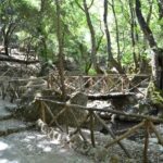 Rhodes: Filerimos hill and Butterflies Valley-Small Group - Transportation and Practicalities