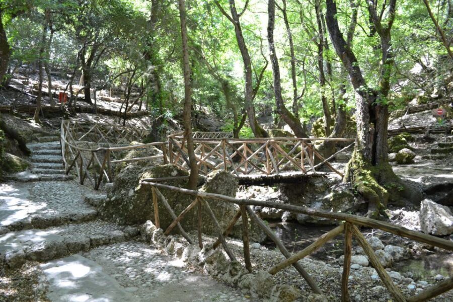 Rhodes: Filerimos hill and Butterflies Valley-Small Group - Transportation and Practicalities