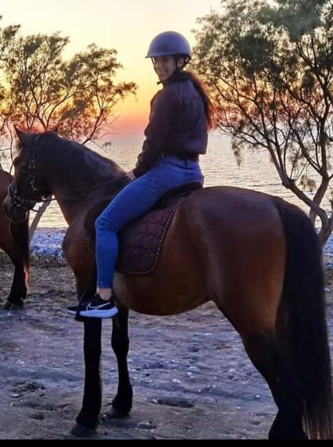 Rhodes Island: Horseback Riding at the Beach During Sunset - The Pricing and What You Get