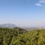 Rhodes: Safari with our driver - North - Pick ups East Coast - Who Is This Tour Best For?