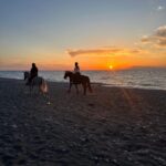 Rhodes: Sunset Horseback Riding Experience by the Sea - Authentic Guest Feedback