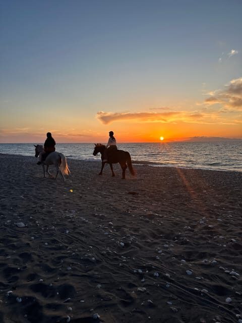 Rhodes: Sunset Horseback Riding Experience by the Sea - Authentic Guest Feedback