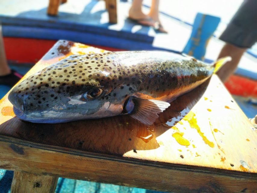 Rhodes Town: Fishing Boat Trip with Fish Meal and Swim Stops - Who Is This Tour Best For?