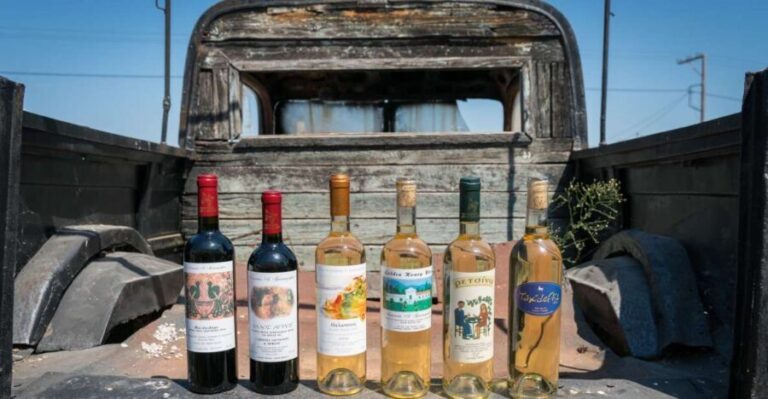 Rhodes: Winery Tour and Tasting Experience - Practical Info and Considerations