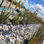 Rhodes:Explore the farm's paths & discover aloe vera & herbs - What You’ll Learn