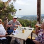 Rhodes:Kamiros,Kritinia,Embona,Mt Profitis Ilias & Kallithea tour - FAQ