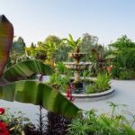 RHS Garden Wisley and Tea in the Garden Entry Ticket - Practicalities & Tips for Visiting