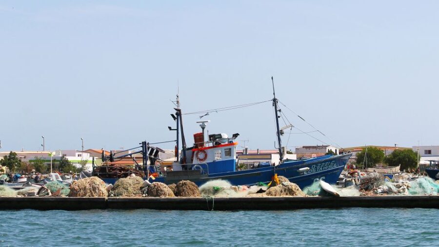 Ria Formosa: 2-Hour Fishermen Route Boat Tour - The Experience Itself: Scenic Views and Wildlife