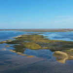 Ria Formosa: Armona and Culatra Islands 3-Hour Boat Tour - An In-Depth Look at the Tour