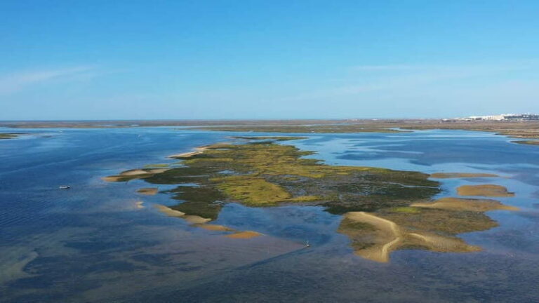 Ria Formosa: Armona and Culatra Islands 3-Hour Boat Tour - An In-Depth Look at the Tour