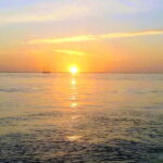 Ria Formosa Bout Tour with sunset - Olhão - Who Is This Tour Best For?