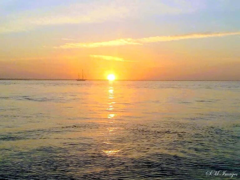 Ria Formosa Bout Tour with sunset - Olhão - Who Is This Tour Best For?