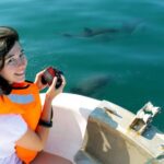 Ria Formosa: Dolphin-Watching Boat Tour - The Reality of Wildlife Sightings