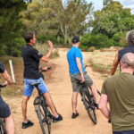 Ria Formosa: Guided Bike Tour (3h), Início na Quinta do Lago - The Highlights in Detail