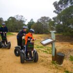 Ria Formosa National Park Segway Tour & Seafood Lunch - Why This Tour Might Be a Good Pick