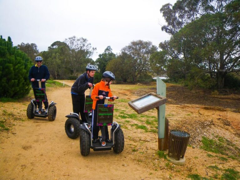 Ria Formosa National Park Segway Tour & Seafood Lunch - Why This Tour Might Be a Good Pick