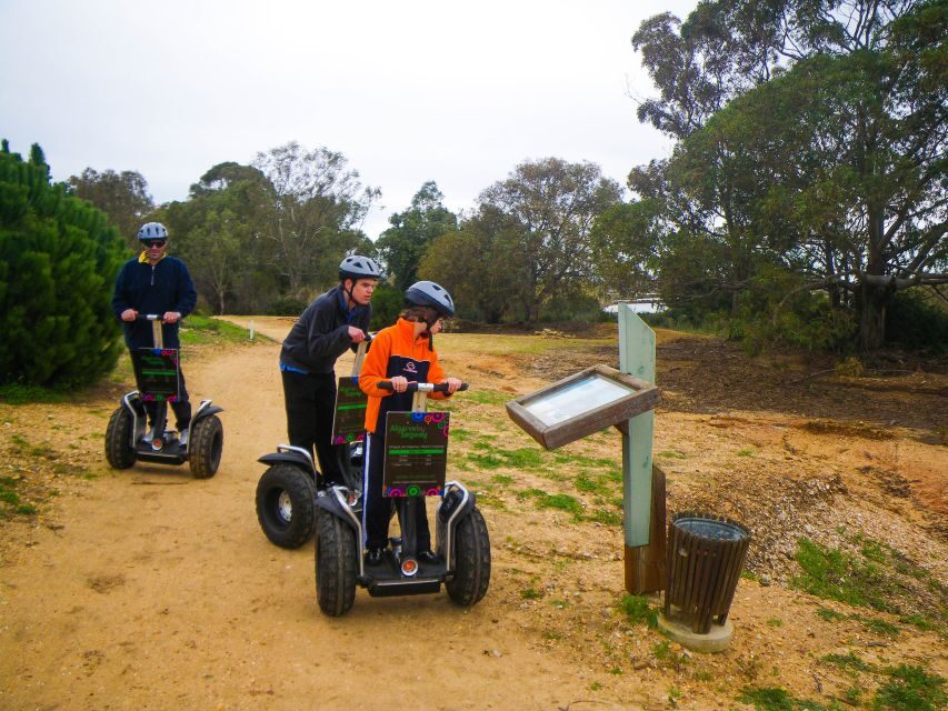Ria Formosa National Park Segway Tour & Seafood Lunch - Why This Tour Might Be a Good Pick