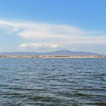 Ria Formosa: Sightseeing boat Tour from Olhão - The Value and Overall Experience