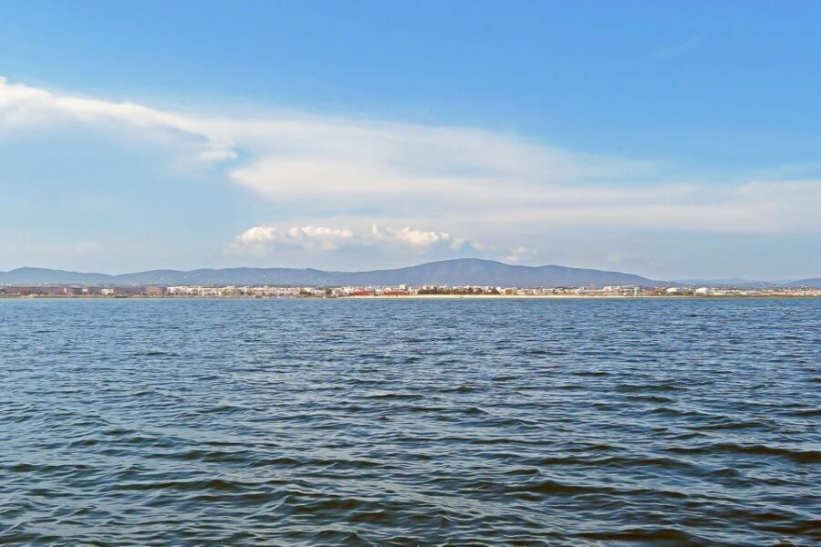 Ria Formosa: Sightseeing boat Tour from Olhão - The Value and Overall Experience