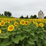 Ribagnac: Théo's Gourmet Tour - The Route and Key Stops