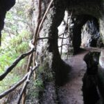 Ribeiro Frio / Portela - Levada Walk - Who is this tour best suited for?