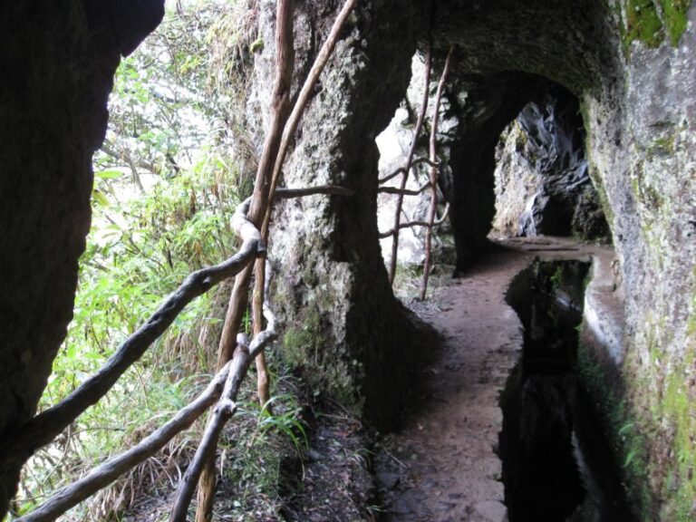 Ribeiro Frio / Portela - Levada Walk - Who is this tour best suited for?