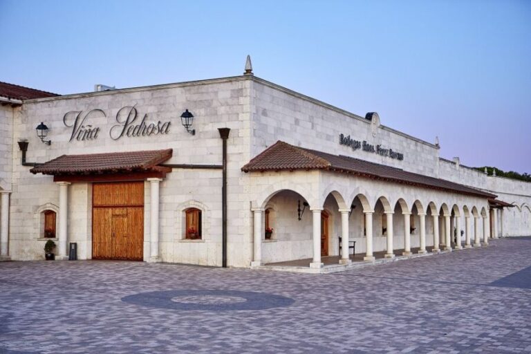 Ribera del Duero: Red Wine Discovery Tour with Tastings - Who Should Consider This Tour?