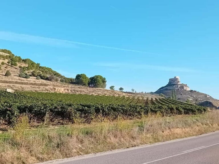 Ribera del Duero Tour From Madrid: 2 Wineries with Transport - The Itinerary in Detail