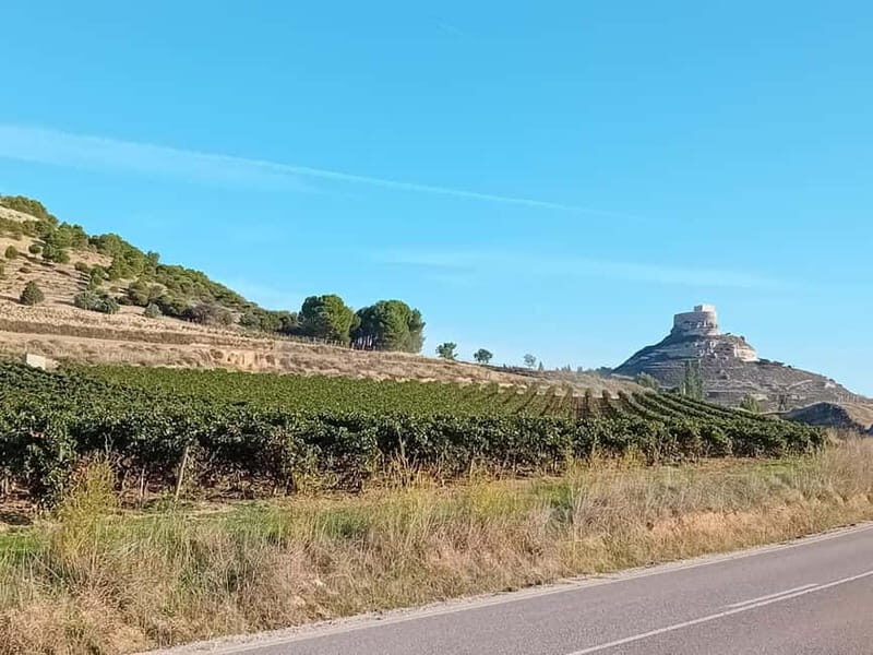 Ribera del Duero Tour From Madrid: 2 Wineries with Transport - The Itinerary in Detail
