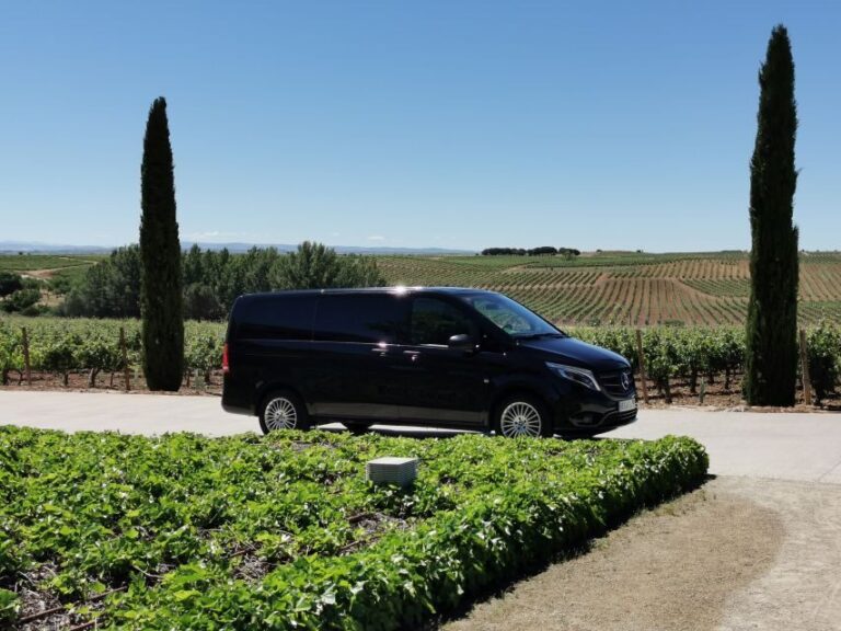 Ribera del Duero wine region private tour - The Journey Begins: Madrid Pick-up