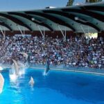 Riccione: Oltremare Park Entrance Ticket - A Closer Look at the Highlights